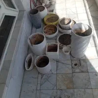 گلدان
