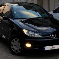 206 sd مشابه خشک