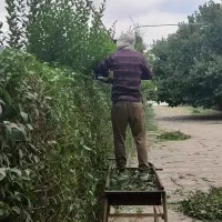 کلیه خدمات کارهای باغبانی