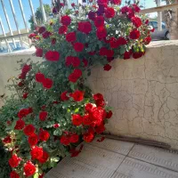 به یک جوشکار ویک مونتاژکار ویک کارگرساده نیازمندیم