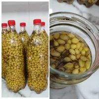 غوره شور عسگری