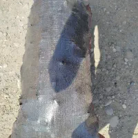 ذغال