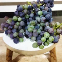 نهال انگور قرمز ،به شرط ثمر