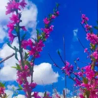آموزش موبایل گرافی