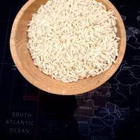 برنج هاشمی اعلای آستانه - ۲ نمونه