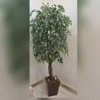 درختچه مصنوعی بنجامین