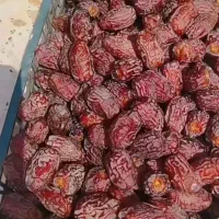 خرمای جنوب