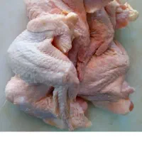 نوک بال