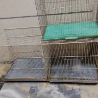 قفس پرنده