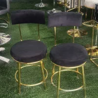 صندلی دو حلقه فورتیک ثابت زرکالا