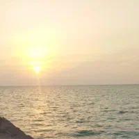 آموزش شنا. فقط دریا