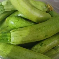 کدوسبزتروتازه حراج ۳۰