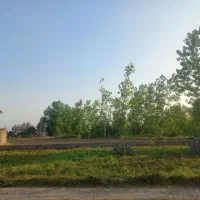 زمین-مسکونی295متر-سنددار-با-پروانه-پرکاپشت-شقایق