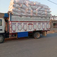کا کاه