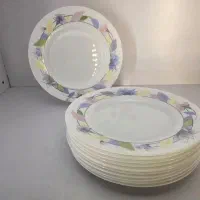 پلو و خورش فلو فرانسه ارکوپال لومینارک