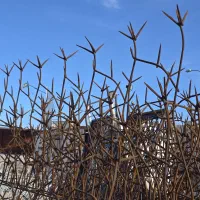 دزدگیر نرده حفاظ دیوار با ارسال به سراسر شهرستان