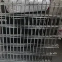 پارک سگ