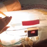 دستگاه جوجه کشی خانگی ۶تایی