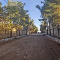 675-متر-باغرود-کاج-سنددار