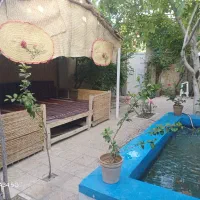 سوییت