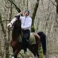 نریان عرب 5 نشان 5 سال