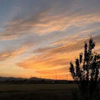 فروش زمین