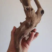 تسویه اکواریوم
