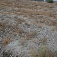 زمین