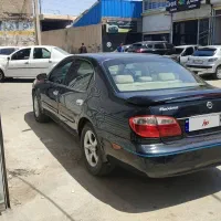 ماکسیما مدل ۸۴ سرمه ای