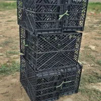جعبه گوجه خوراکی ۱۰ کیلویی