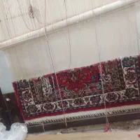 دار قالی همراه با قالی
