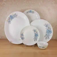 سرویس 25 تیکه