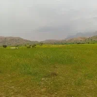 فروش-باغ-کلاغ-نشین