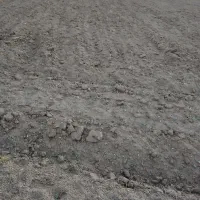 فروش گونی وزمین زراعی درروستای همجواررضی،10هکتار