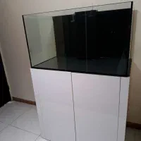 آکواریوم سامپ دار