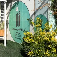 لیزر موهای زائد