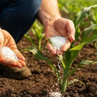 دنیای کودهای ارگانیک بیولوژیکی