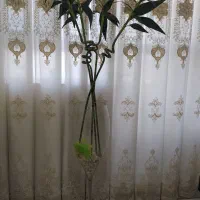 بامبو و جام شیشه ای