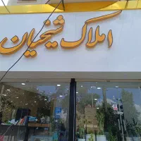 تعدادی مشاور خانم و آقا