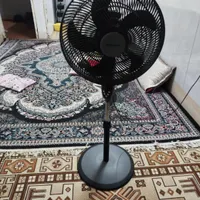 پنکه زمینی