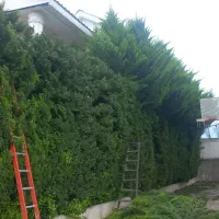 هرسکاری وسمپاشی با دستگاه