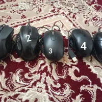 موس
