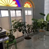 همخونه