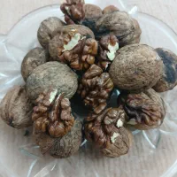 فروش گردوی شمال