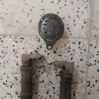 رکس