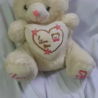 عروسک خرس،سگ.