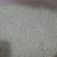 برنج چمپا