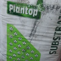 گل و گیاه و باغچه