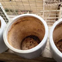 گلدان سرامیکی گلدون