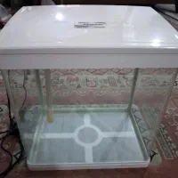 اکواریوم دلسا سفید رنگ